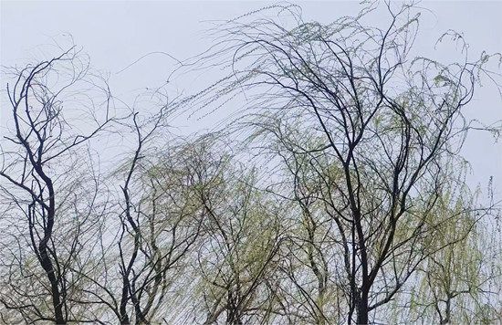 E:\用户\I\Desktop\1.jpg