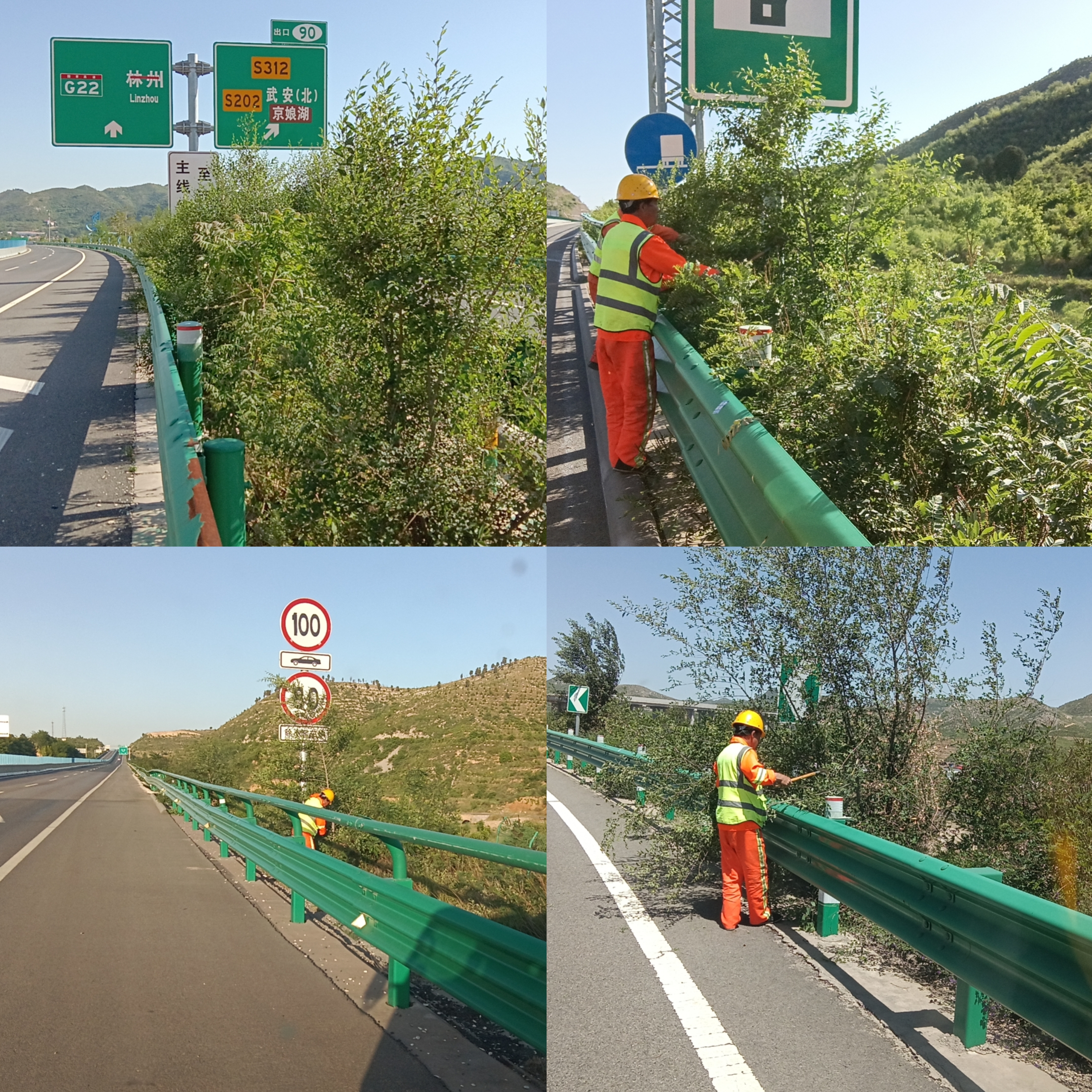 微信图片_20240516062151.jpg